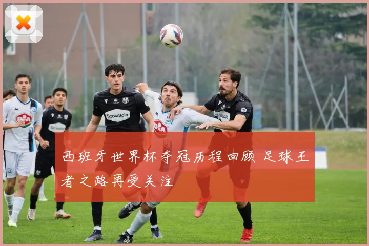 西班牙世界杯夺冠历程回顾 足球王者之路再受关注