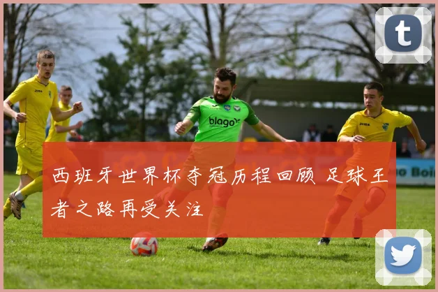 西班牙世界杯夺冠历程回顾 足球王者之路再受关注